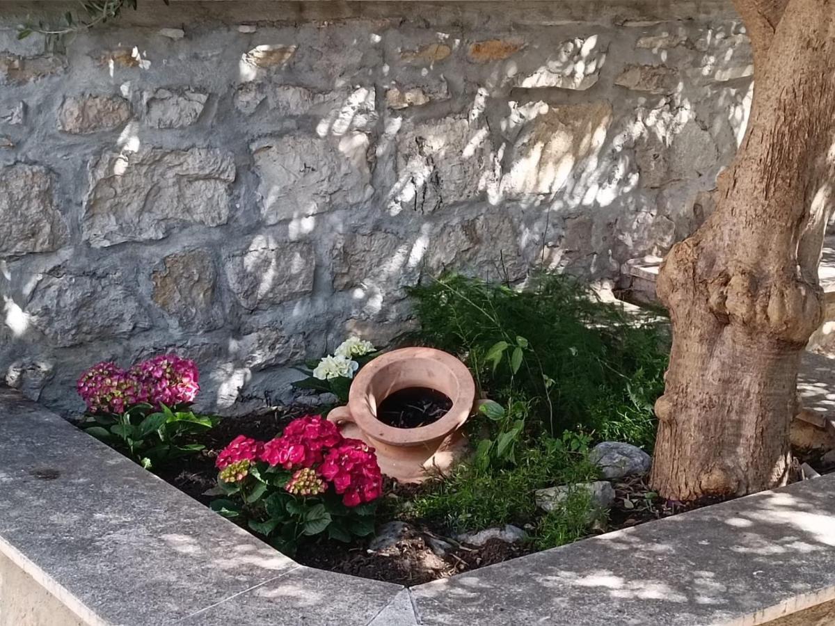 Diocletian Garden Centar Apartamento Split Exterior foto